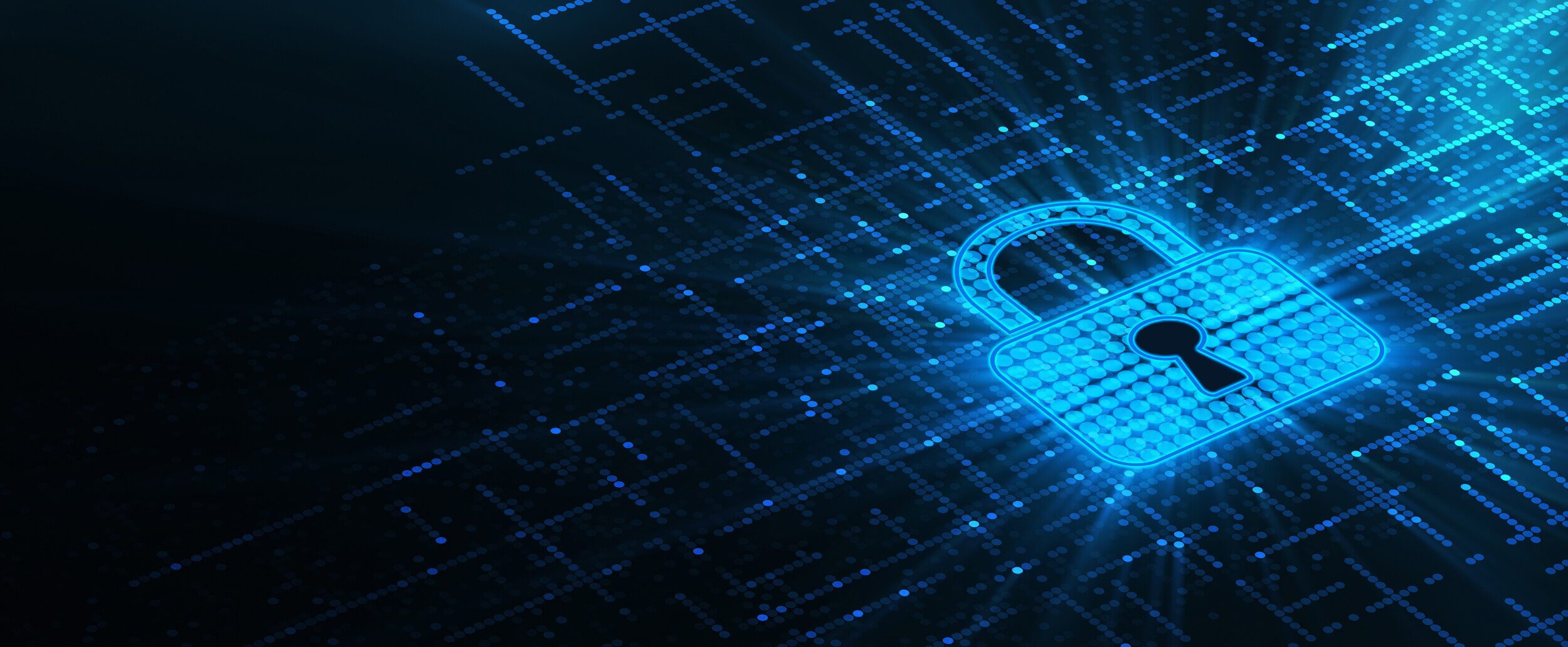 Website Security